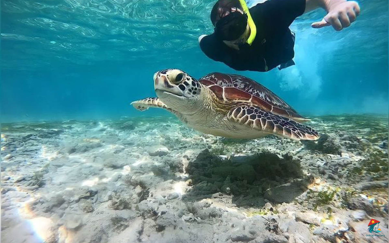 Phu quoc 3 wyspy ha long bay 2 dni 1 noc (5)