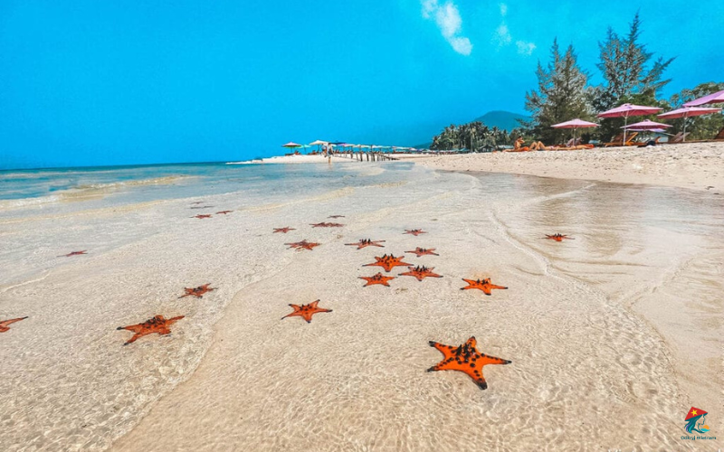 Phu quoc 3 wyspy ha long bay 2 dni 1 noc (8)