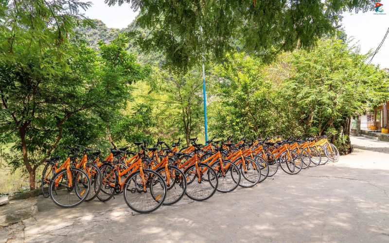 da nang po polsku (26)